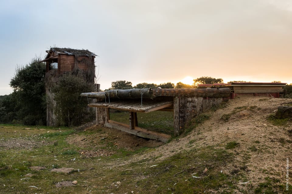 Game viewing