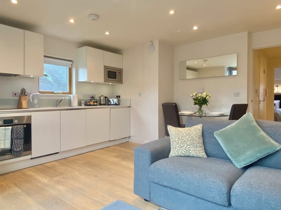 Superior Apartment, 1 Bedroom, Private Bathroom | Private kitchen | Fridge, microwave, oven, stovetop