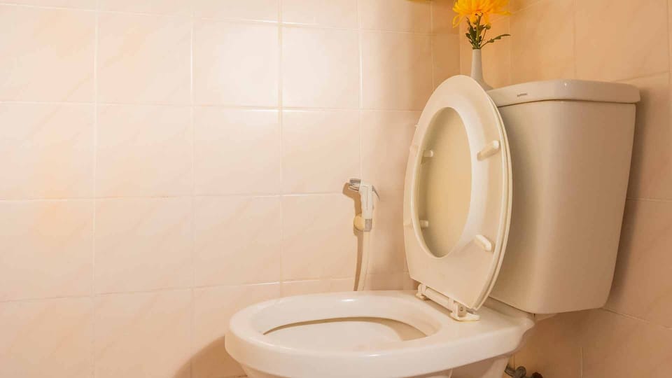 Budget Room | Bathroom | Shower, rainfall showerhead, free toiletries, bidet