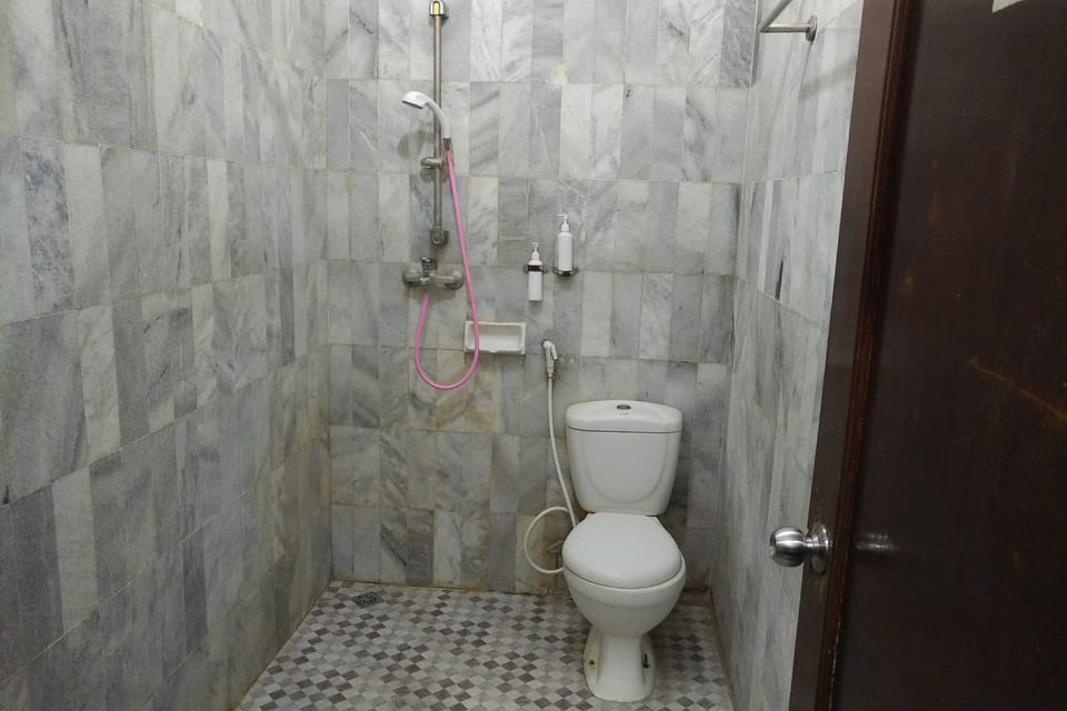 Deluxe Room | Bathroom | Shower, free toiletries, towels