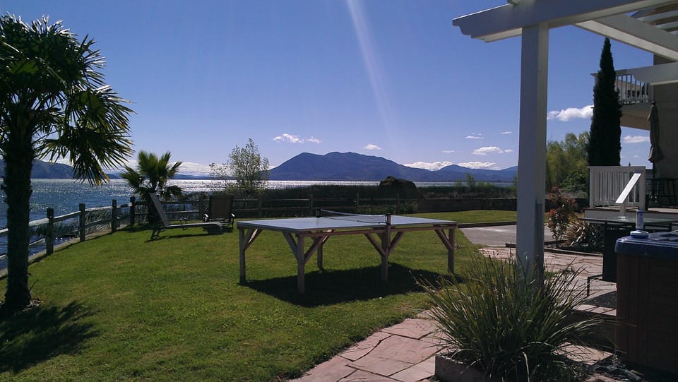  Open back yard, with plenty of room to run around