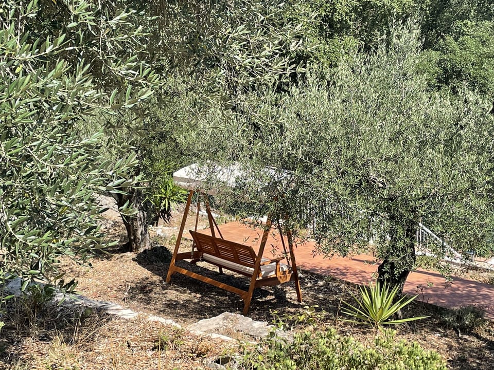 Swing seat in the shade of the olive trees and with a view of Arunci Mountains