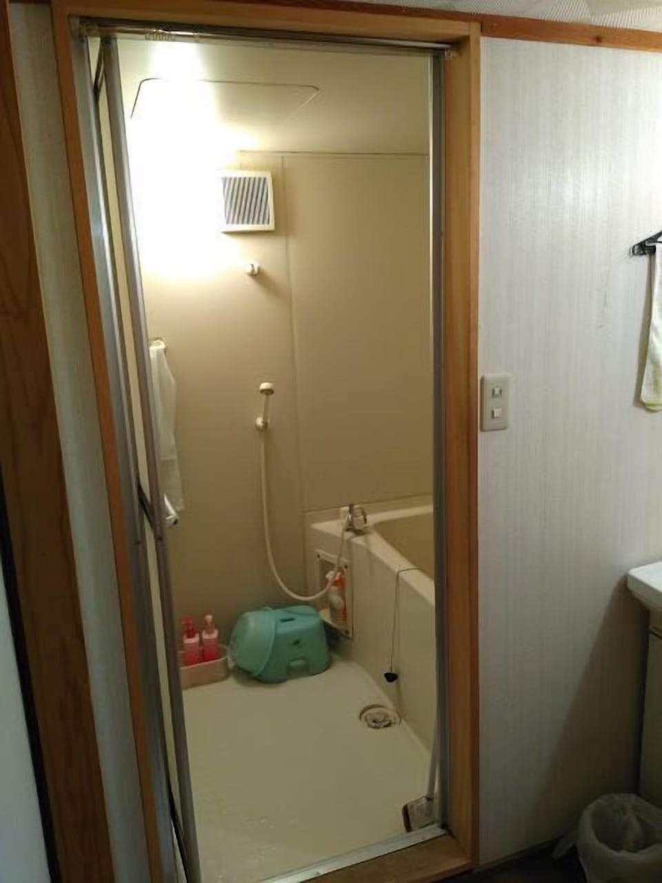 Hair dryer, slippers