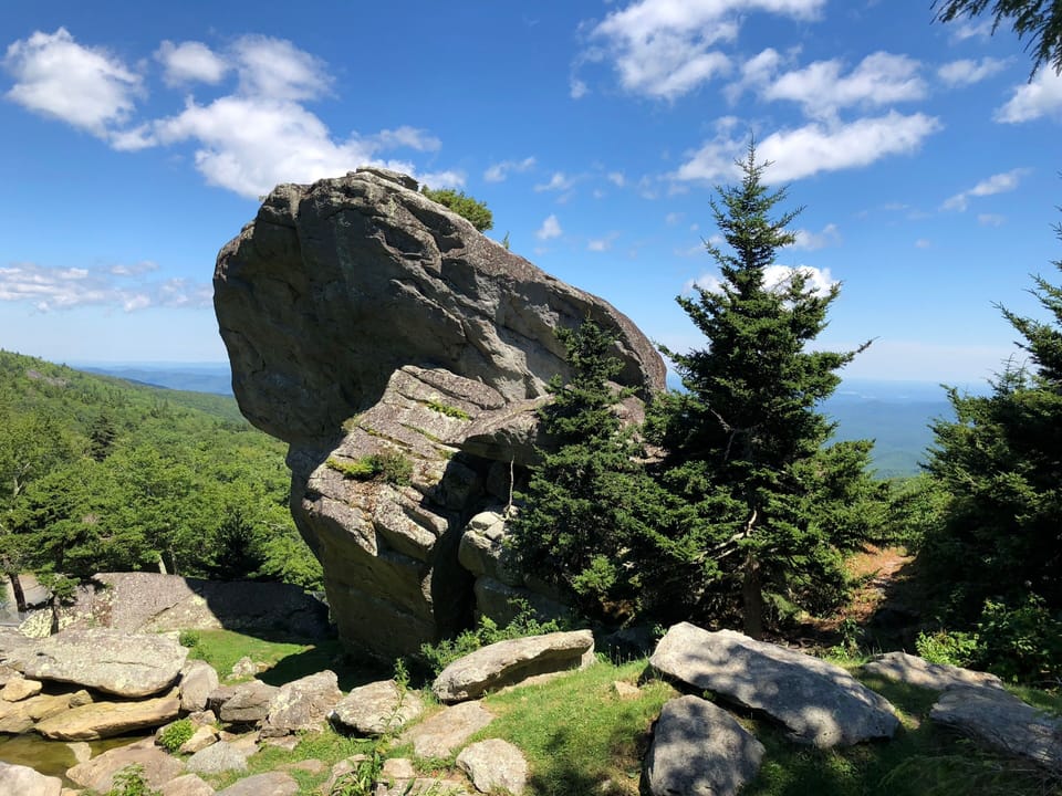 We highly recommend a visit to the zoo at Grandfather Mountain!