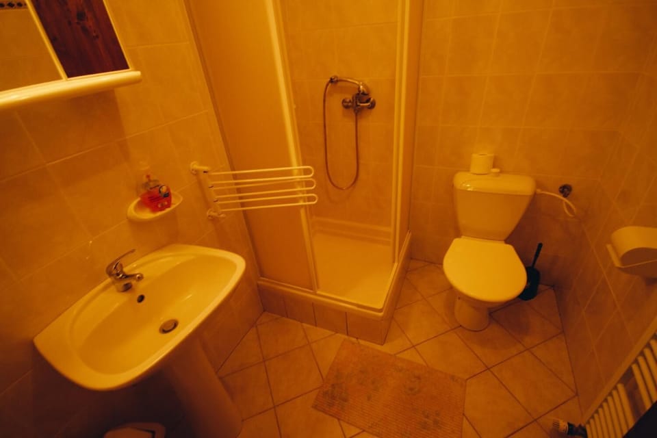 Shower, towels, soap, toilet paper