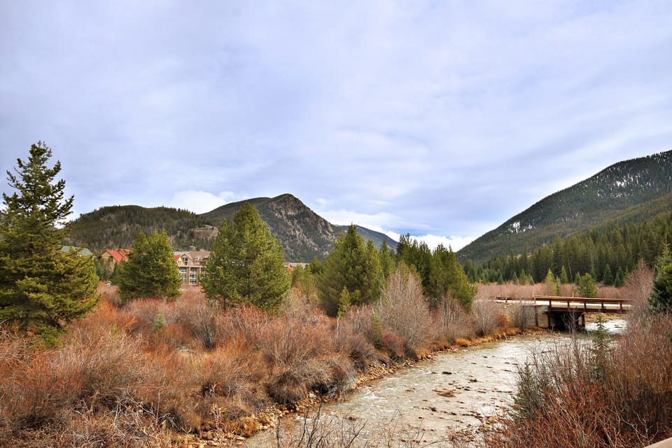 Condo, 1 Bedroom | Property grounds
