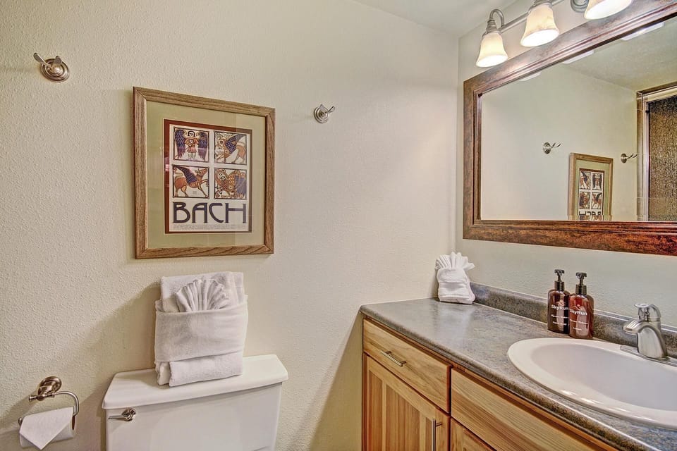 Huge Ski-In Ski-Out Condo - CM116 by RedAwning Apartment in Summit County