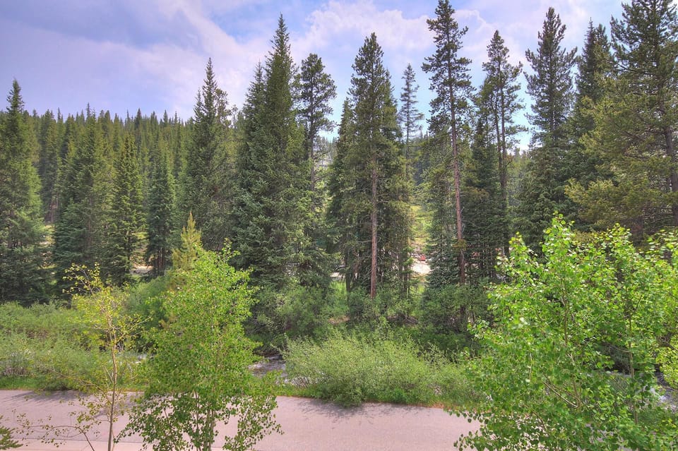 Townhome, 4 Bedrooms | View from property
