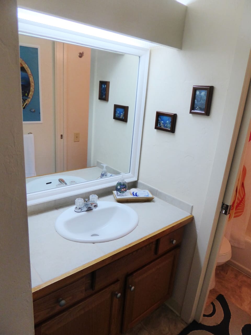 Bathroom vanity separated from the shower and toilet by sliding pocket door.