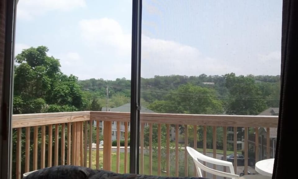 patio view
