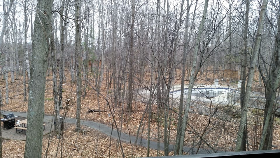 outdoor view from living room windows-outdoor pool is beyond path