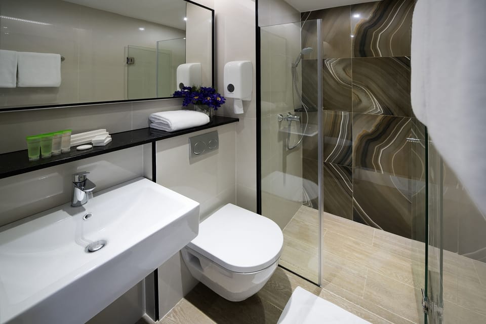Shower, free toiletries, hair dryer, towels