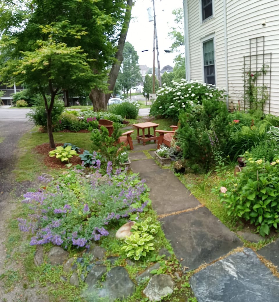 Outdoor space and garden