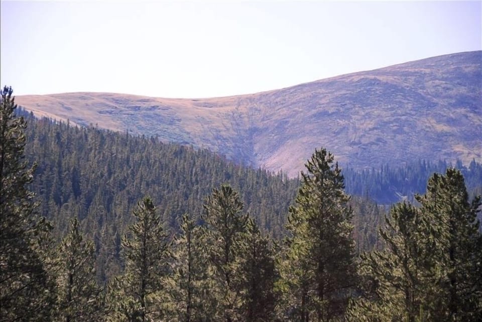 Panoramic Views of the mountains from the deck upstairs (Red Mountain in Summer)