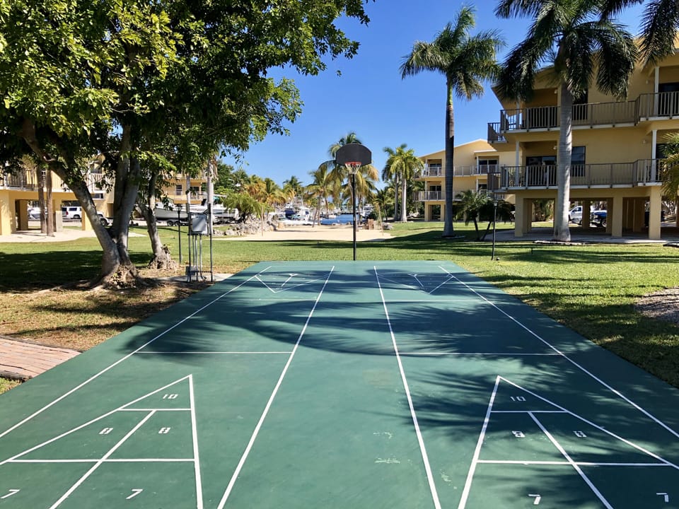 Shuffle Board/Basketball Court