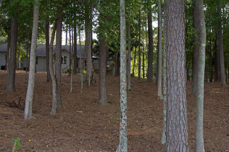 View of Townhouse from Lakefront