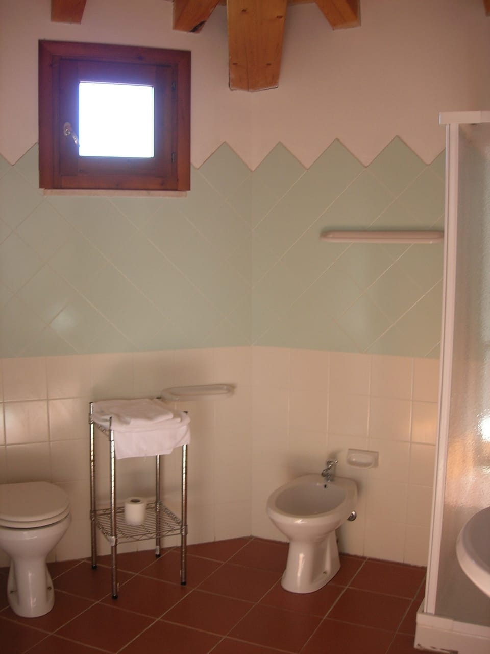Shower, bidet