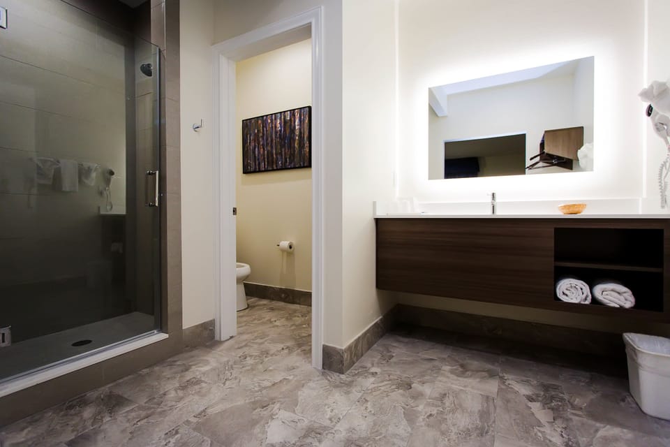 Designer toiletries, hair dryer, towels