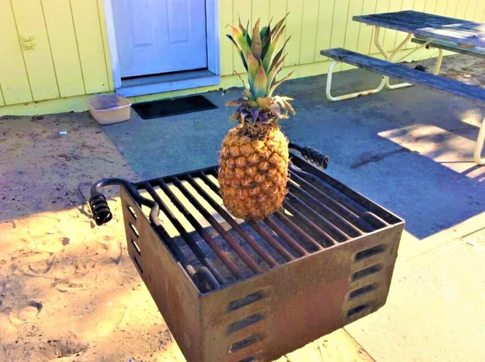 BBQ/picnic area
