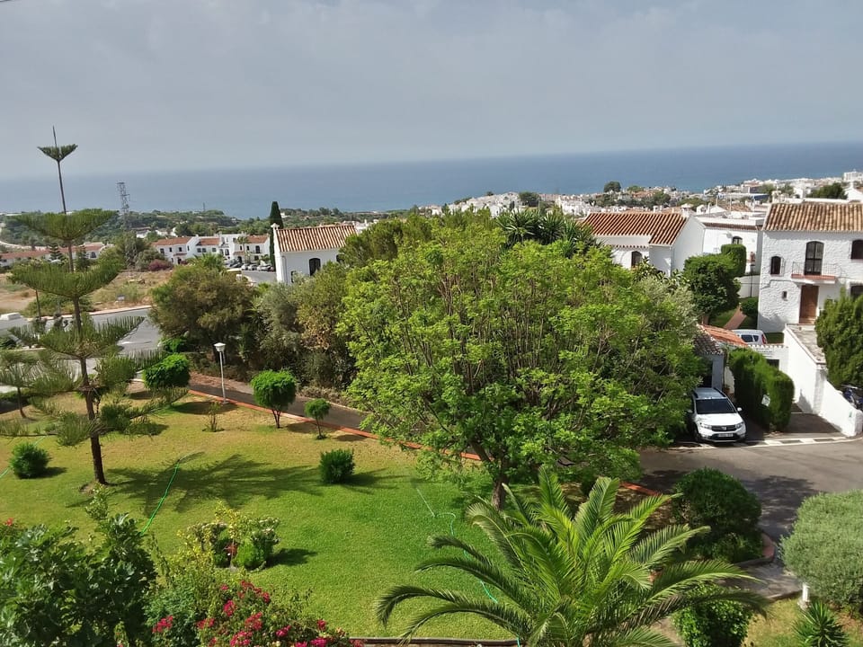 The view from the roof terrace
