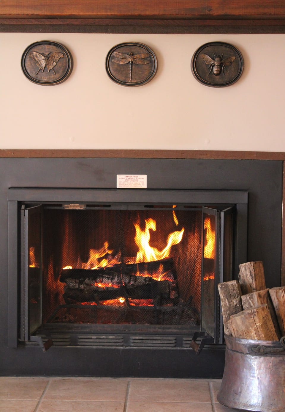 Wood-burning fireplace with firewood provided.