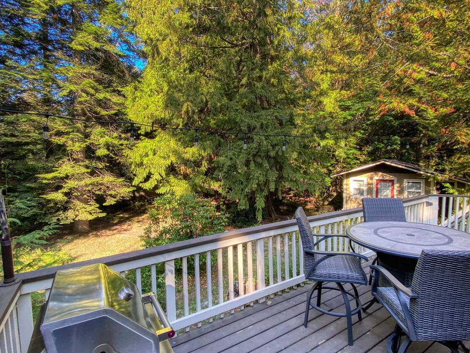 Views from the rear deck
