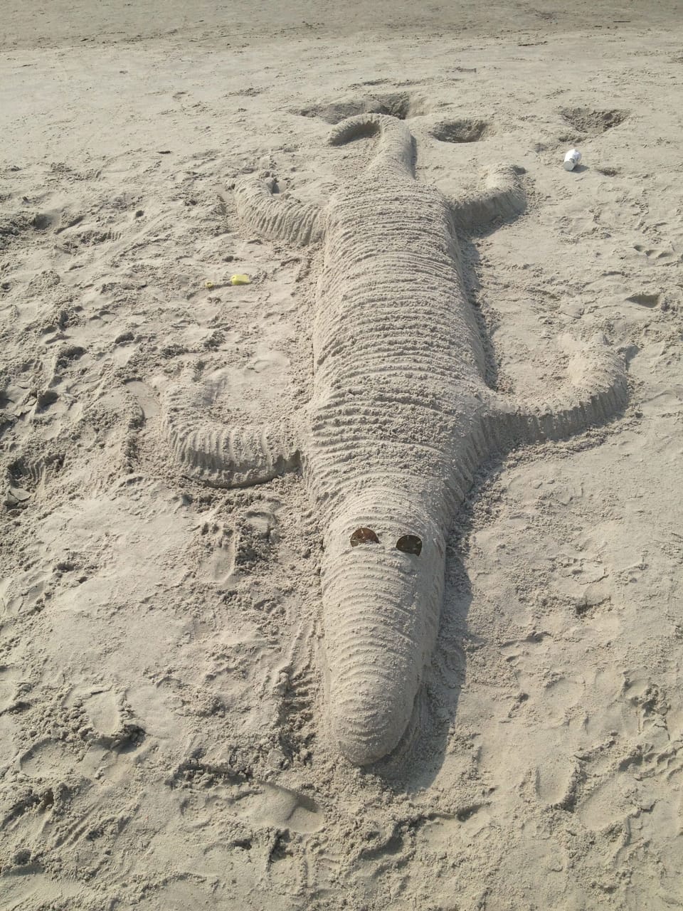 You never know who you might run into on the beach!