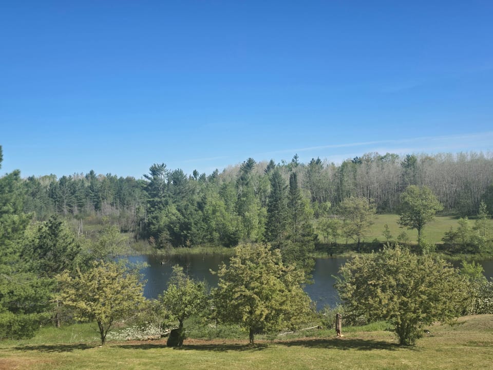 north view from deck of pond june 2026