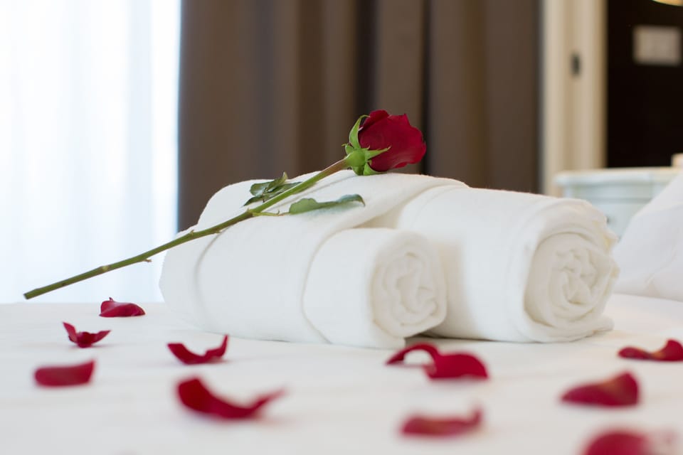 Deluxe Double Room | Premium bedding, down comforters, minibar, in-room safe
