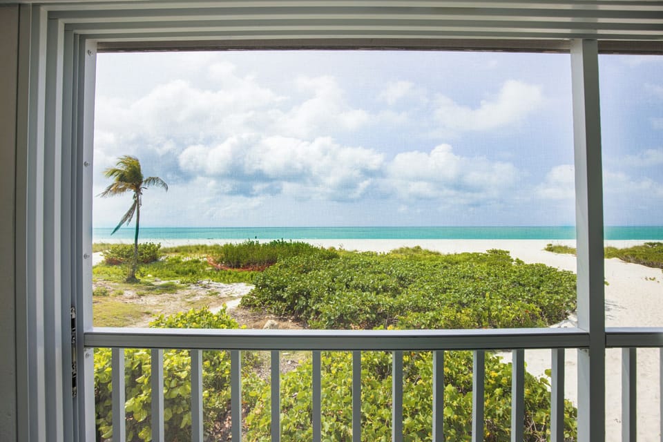 VIEW FROM PRIMARY BEDROOM