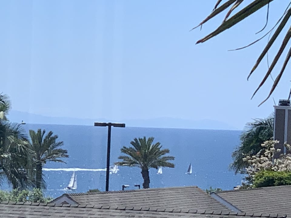 View out dining room window of ocean, sailboats, and Catalina Island  🌴 