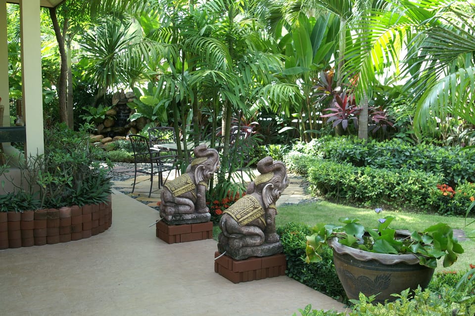 elephants on guard