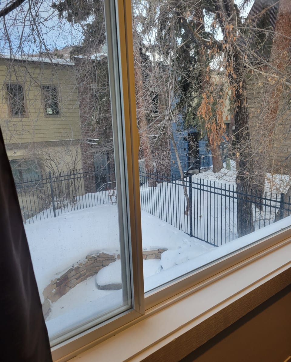 View of yard and Courtyard