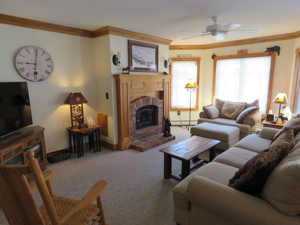 Living Room with Gas Fireplace