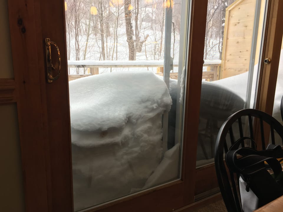 Snowed in!