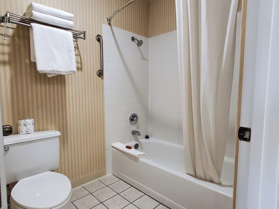 Combined shower/tub, free toiletries, hair dryer, towels