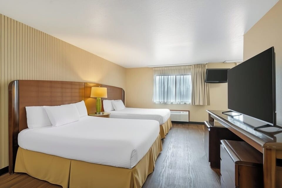 Premium bedding, desk, iron/ironing board, rollaway beds