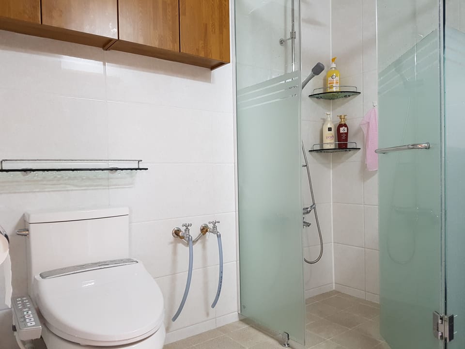 Bathroom shower