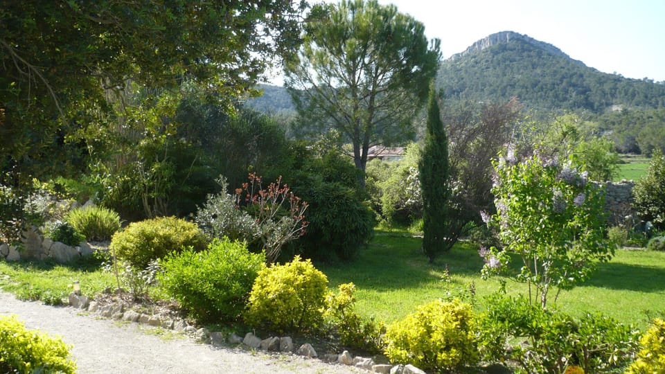 View inside the garden