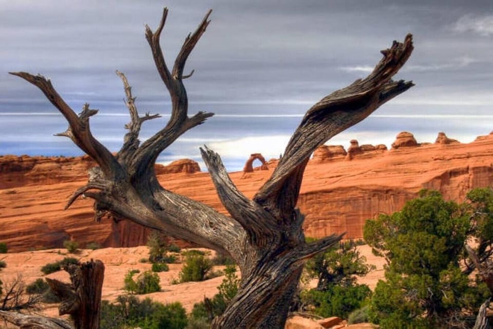 Long distance view of Delicate Arch in Arches National Park