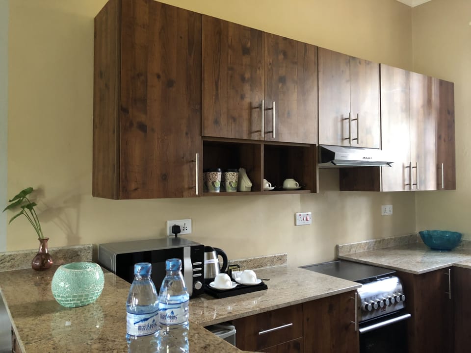 Executive Suite, 1 Bedroom, Kitchen, Mountain View | Private kitchen | Coffee/tea maker, electric kettle