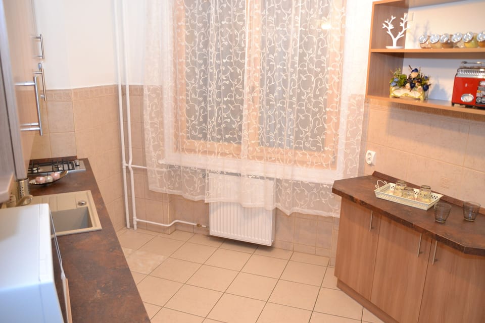 Family Apartment, 4 Bedrooms, Kitchen, Courtyard Area | Private kitchen | Full-size fridge, microwave, stovetop, dishwasher