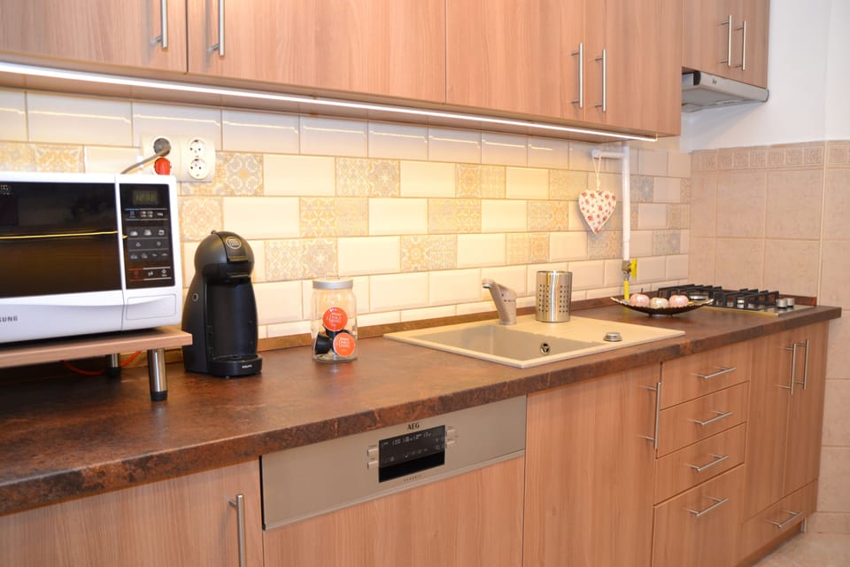 Family Apartment, 4 Bedrooms, Kitchen, Courtyard Area | Private kitchen | Full-size fridge, microwave, stovetop, dishwasher