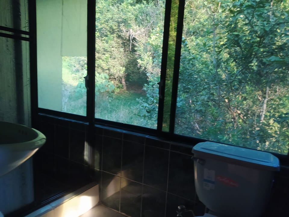 Comfort Quadruple Room, Multiple Beds | Bathroom | Shower, free toiletries, hair dryer, towels