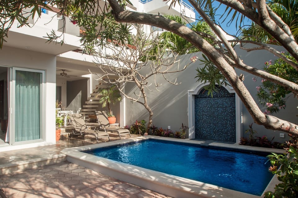 Outdoor pool, sun loungers