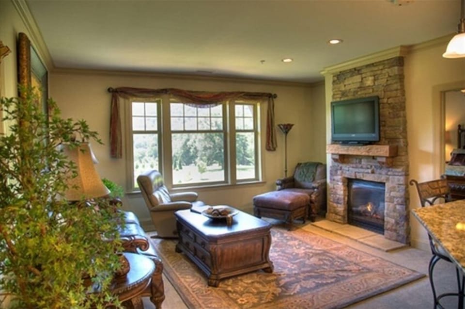 living room with views