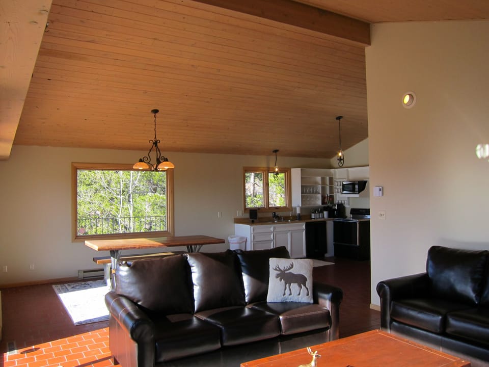 Upstairs main floor has a nice open floor plan with vaulted ceilings.