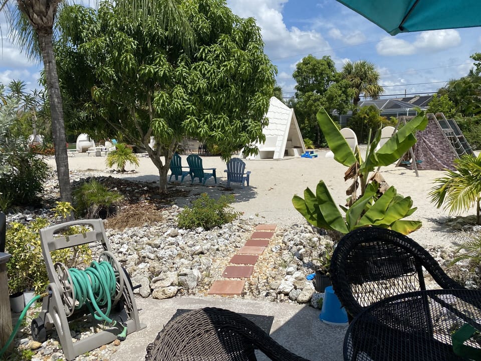 View from patio 