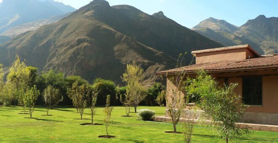 Andes Mountains view