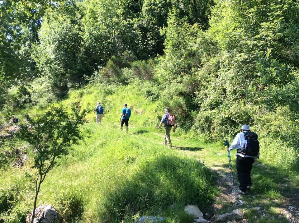 Hiking